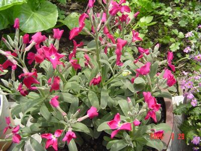 �·���~������������������Ư����PPΪ��ͬѧ����!