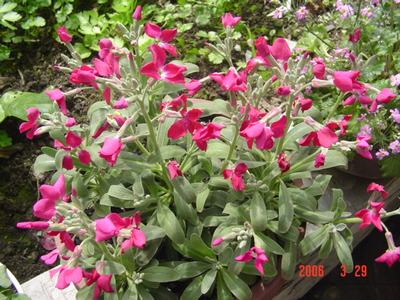 �·���~������������������Ư����PPΪ��ͬѧ����!