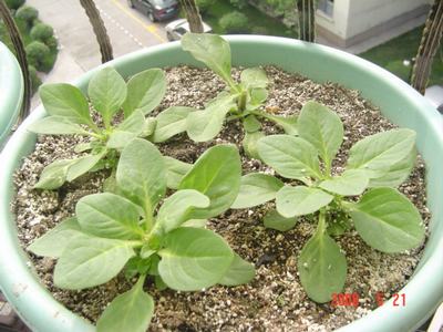 �·���~������������������Ư����PPΪ��ͬѧ����!