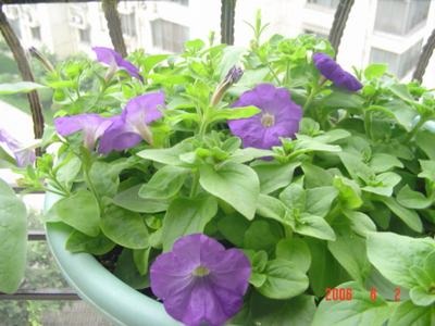 �·���~������������������Ư����PPΪ��ͬѧ����!