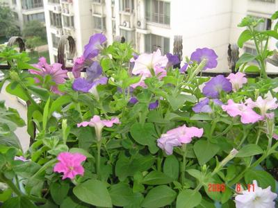 �·���~������������������Ư����PPΪ��ͬѧ����!