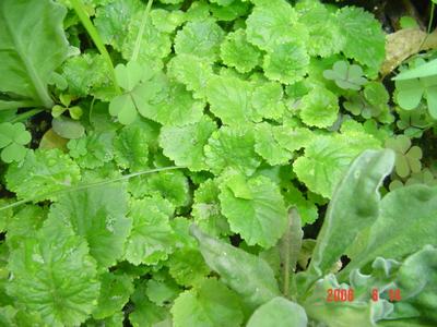 �·���~������������������Ư����PPΪ��ͬѧ����!