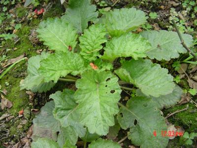 �·���~������������������Ư����PPΪ��ͬѧ����!