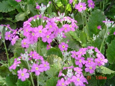 �·���~������������������Ư����PPΪ��ͬѧ����!