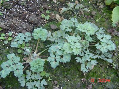 �·���~������������������Ư����PPΪ��ͬѧ����!