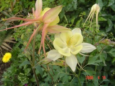 �·���~������������������Ư����PPΪ��ͬѧ����!