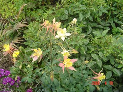 �·���~������������������Ư����PPΪ��ͬѧ����!