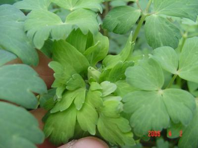 �·���~������������������Ư����PPΪ��ͬѧ����!