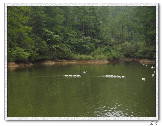 ��ɢ�Լ�������