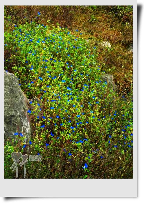 �Ұ�...���ڿ���ɽ�������·��