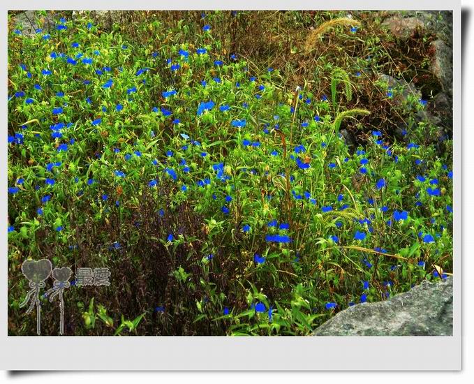 �Ұ�...���ڿ���ɽ�������·��