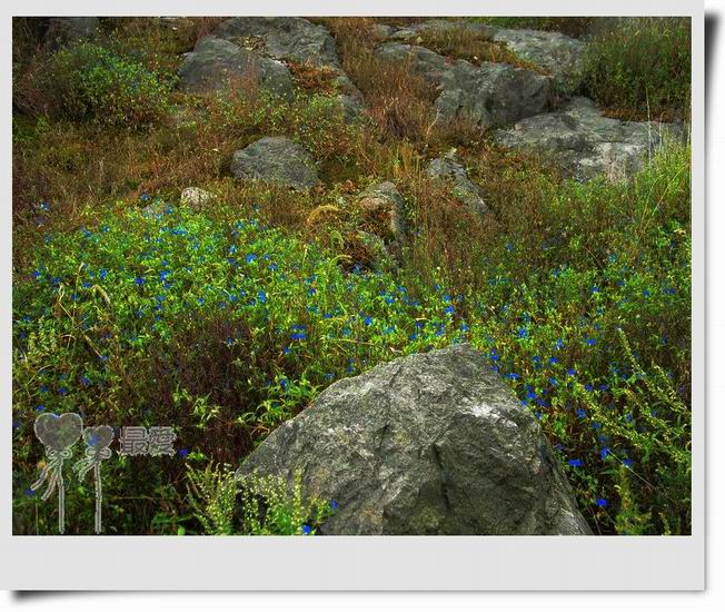 �Ұ�...���ڿ���ɽ�������·��