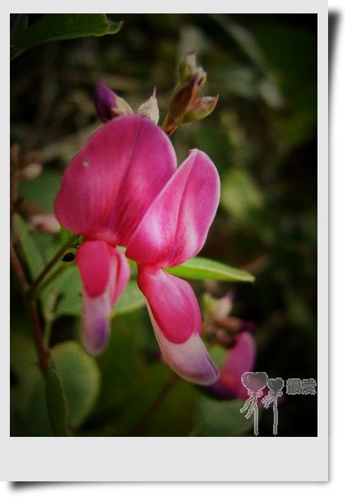 �Ұ�...���ڿ���ɽ�������·��