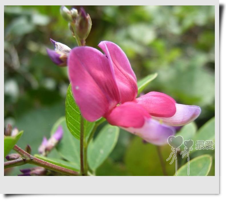 �Ұ�...���ڿ���ɽ�������·��