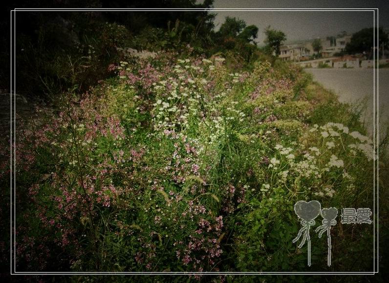 �Ұ�...���ڿ���ɽ�������·��