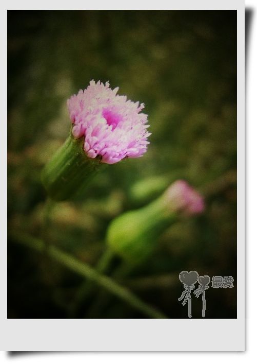 �Ұ�...���ڿ���ɽ�������·��