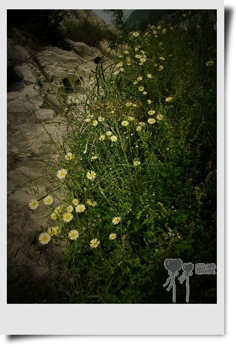 �Ұ�...���ڿ���ɽ�������·��