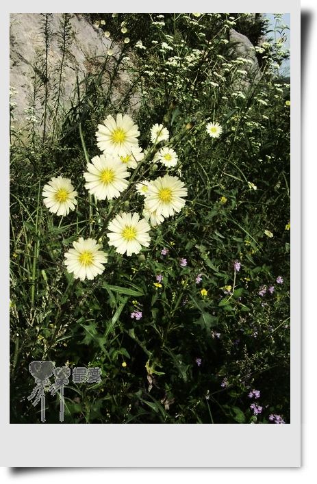 �Ұ�...���ڿ���ɽ�������·��