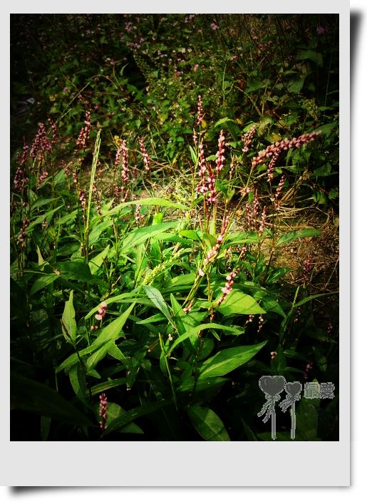 �Ұ�...���ڿ���ɽ�������·��