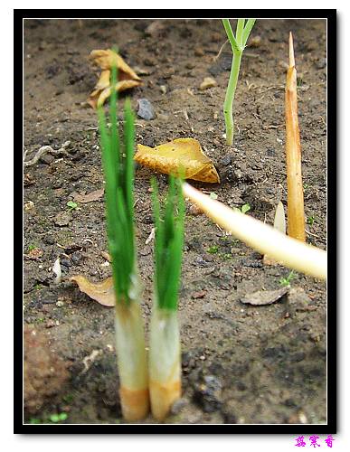 ������!P7-P11:�غ컨,����,�����ݷ�ѿPP