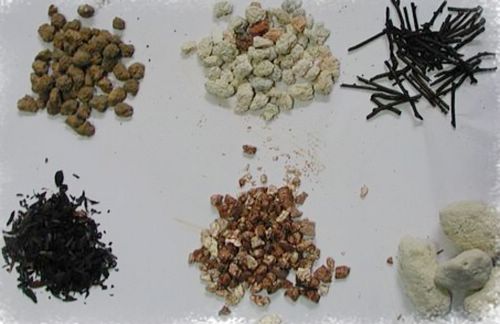 ��������ʲô��?