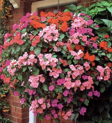 ���ص���