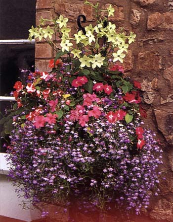 ���ص���