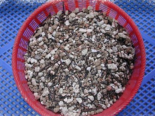 ��������ʲô��?