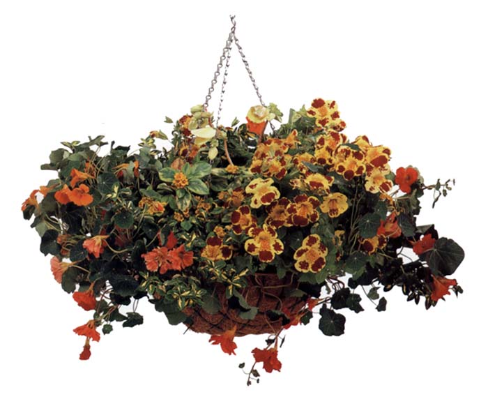 ���ص���