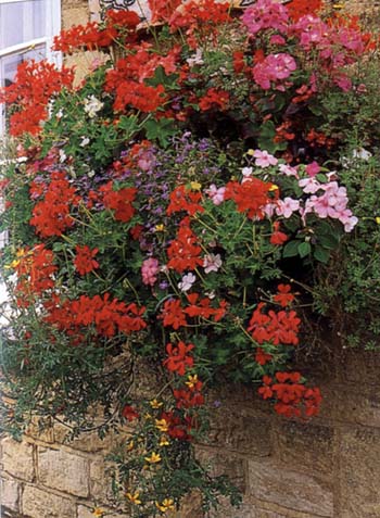 ���ص���