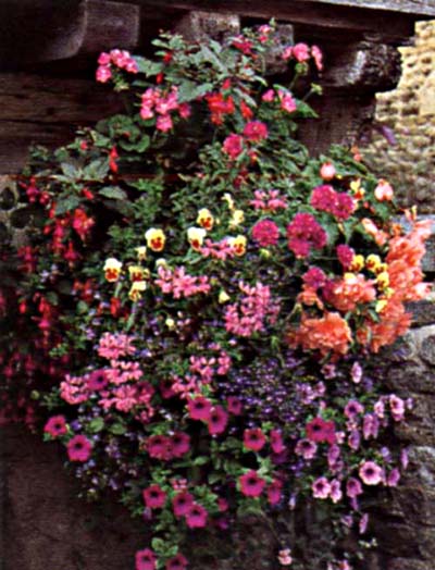 ���ص���