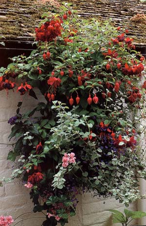 ���ص���