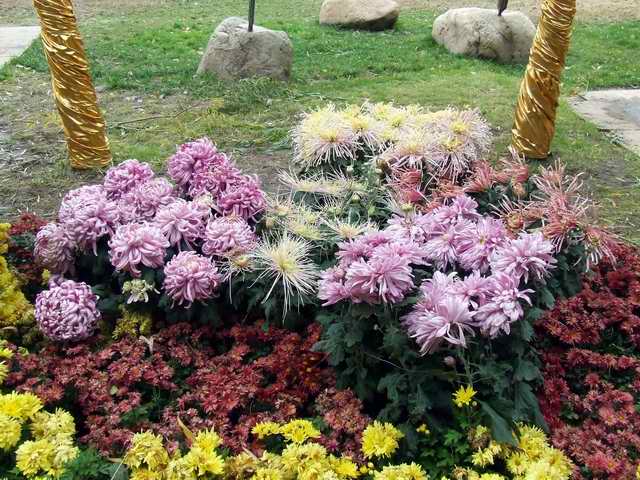 [ԭ��]������԰��--�ջ�ƪ