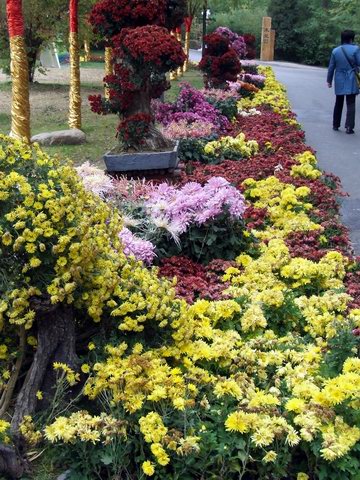 [ԭ��]������԰��--�ջ�ƪ