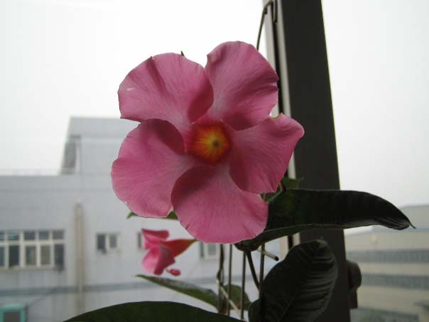 [��ͼ]��̨�����㱨(��������PP)