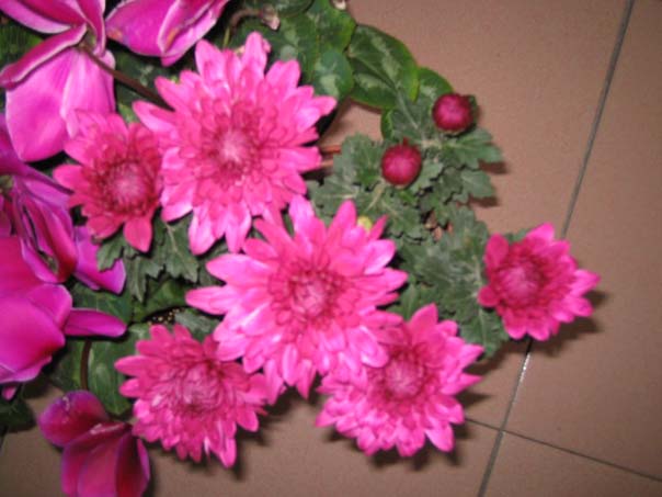 [��ͼ]��̨�����㱨(��������PP)