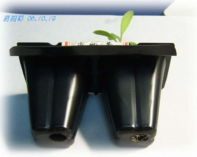 С�������ڳɳ���10/19��P15�����PP����