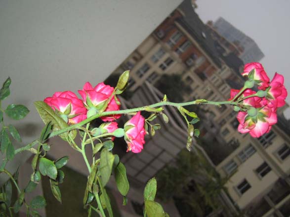 [��ͼ]��̨�����㱨(��������PP--����PP��P6/7)