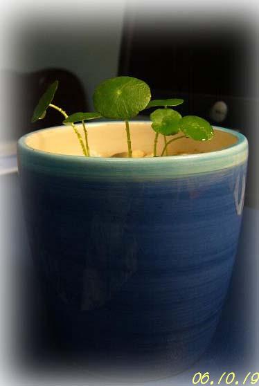 С�������ڳɳ���10/19��P15�����PP����