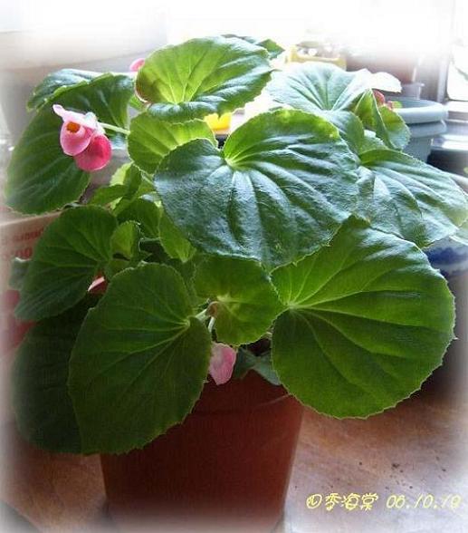 С�������ڳɳ���10/19��P15�����PP����