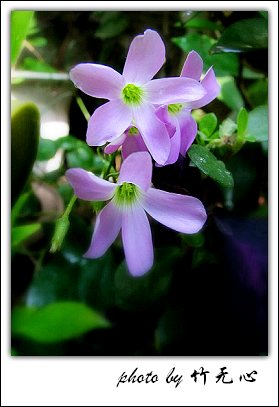 ����Ļ���~P5,ܽ�������ݿ�������