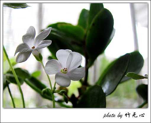 ����Ļ���~P5,ܽ�������ݿ�������