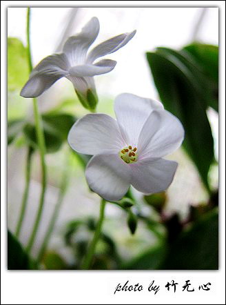 ����Ļ���~P8,�׻�������..