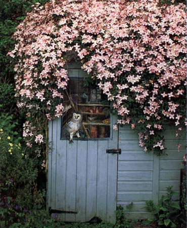 ��ͥ԰�����