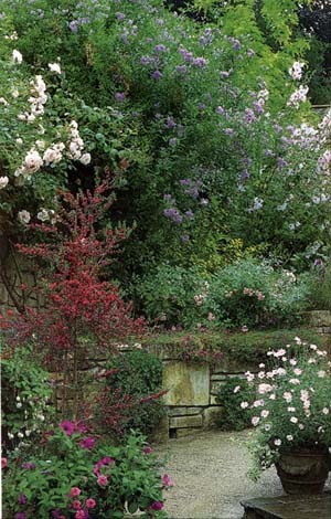 ��ͥ԰�����