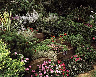 ��ͥ԰�����