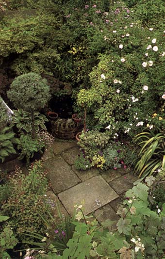 ��ͥ԰�����