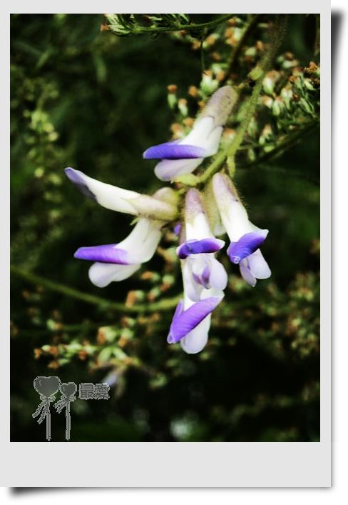 �Ұ�...���ڿ���ɽ�������·��