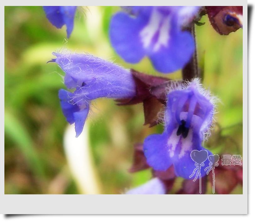 �Ұ�...���ڿ���ɽ�������·��