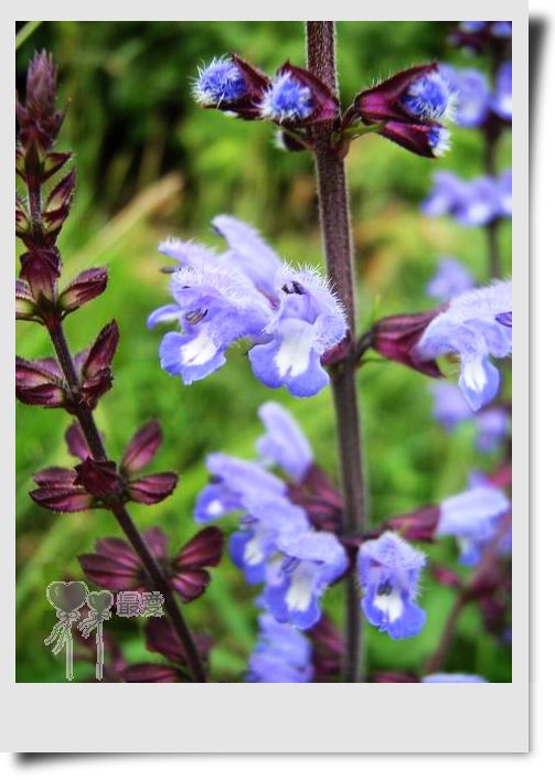 �Ұ�...���ڿ���ɽ�������·��